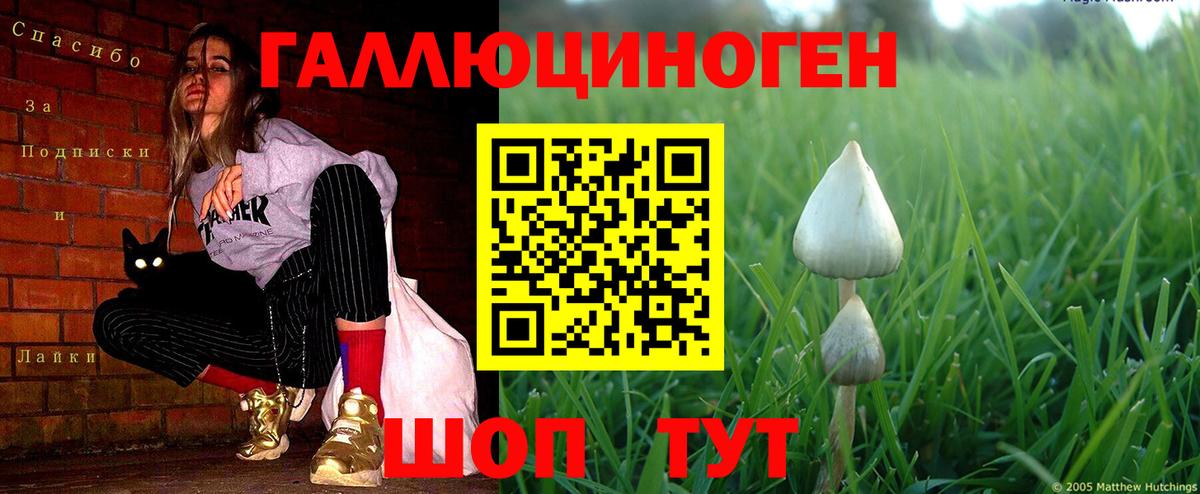 Псилоцибиновые грибы мухоморы  Вход с VPN  Галлюциногенные грибы мухоморы  Егорьевск 